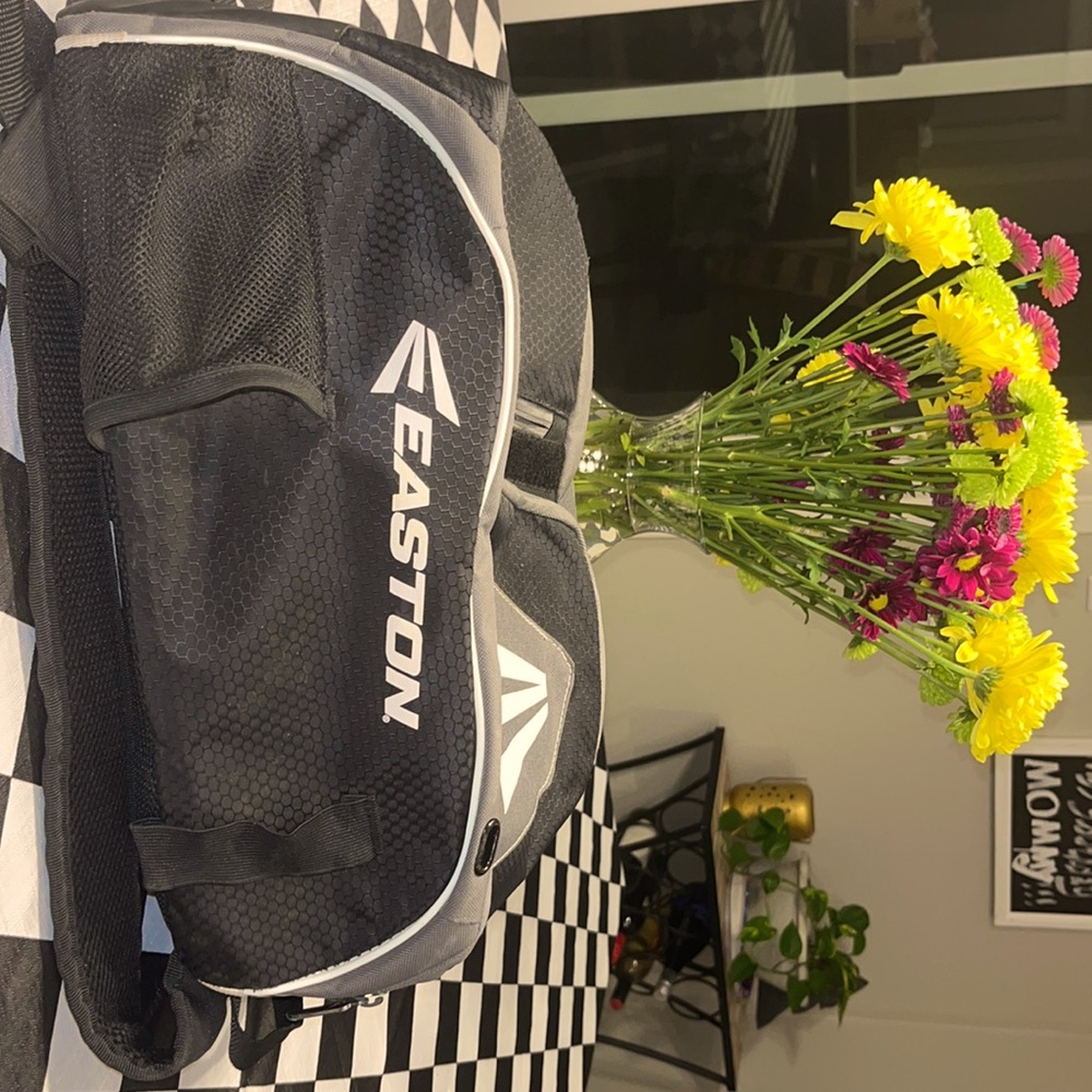 Easton baseball bag